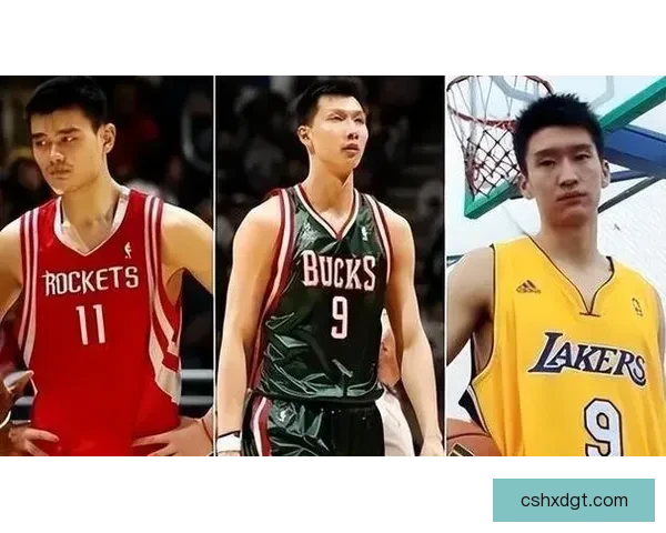 姚明与易建联职业生涯对比解析谁才是中国篮球真正的传奇
